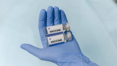 How is Freeze Drying Used in the Pharmaceutical and Diagnostic Sectors?