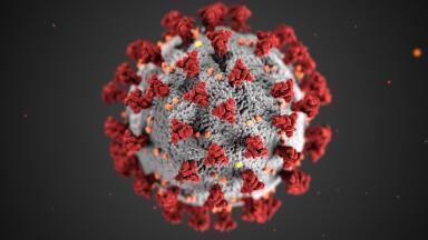 Recent Developments in COVID-19 Research