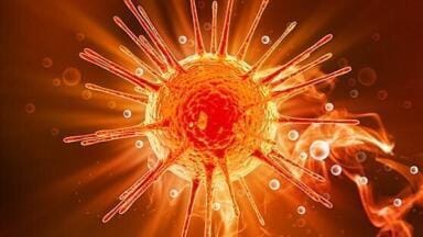 Monitoring Organoid Development and Behaviour Using Lentivectors