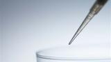 Partnership announces First 3D Cell Culture Development