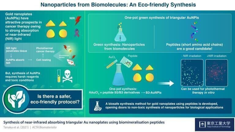 Synthesising Gold Nanoparticles: Is this the way forward for non-invasive cancer therapy?
