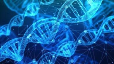 What Are the Characteristics of a Protein?