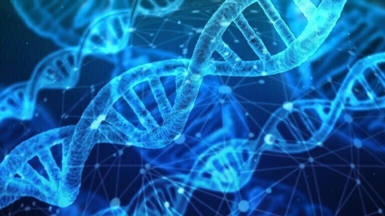 What Are the Characteristics of a Protein?