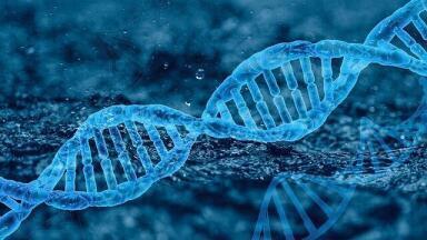 Which Technique is Used to Identify Proteins?