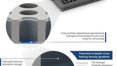 High-Throughput 3D Cell Culture Using TrueGel3D® HTS Hydrogel Plates