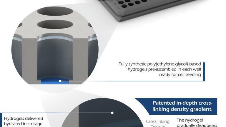 High-Throughput 3D Cell Culture Using TrueGel3D® HTS Hydrogel Plates