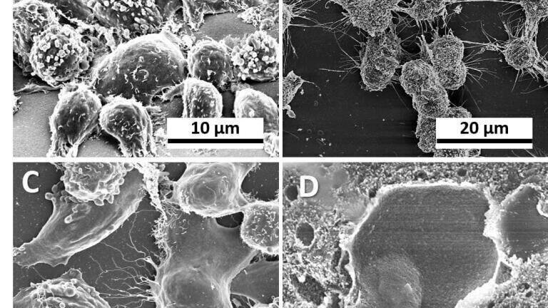 3D Printed Membranes to suit any Lab