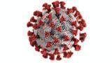 Data on COVID-19 Vaccine supports Robust Longevity Outcome