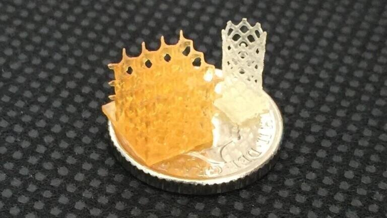 Sample scaffold made from 4Degra