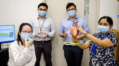 Novel 3D Model Aids Vascular Disease Research