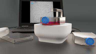 Label-free Microscopy Solutions for Live-cell Studies
