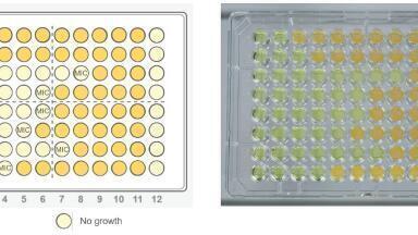 Liquid Handling Solutions for Drug Development Workflows