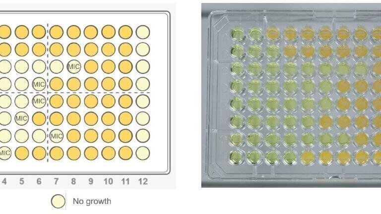 Liquid Handling Solutions for Drug Development Workflows