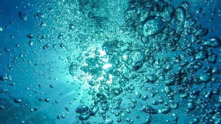 Can COVID-19 Survive in Water?