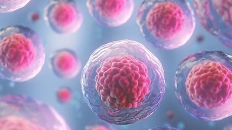 Illustration of embryonic stem cells.