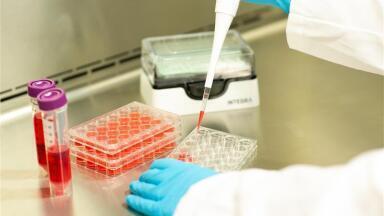 Liquid Handling Solutions for Successful Cell Culture Workflows