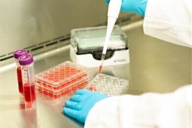 Liquid Handling Solutions for Successful Cell Culture Workflows