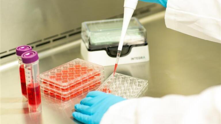Liquid Handling Solutions for Successful Cell Culture Workflows