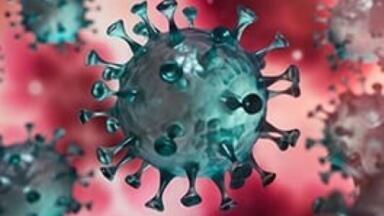 Aptamers for Targeting SARS-CoV-2 Proteins