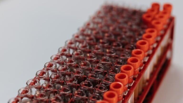 What is a Biobank?