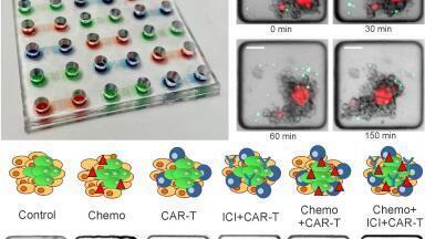 Novel Assay Platform for 3D Microfluidic Cancer Research