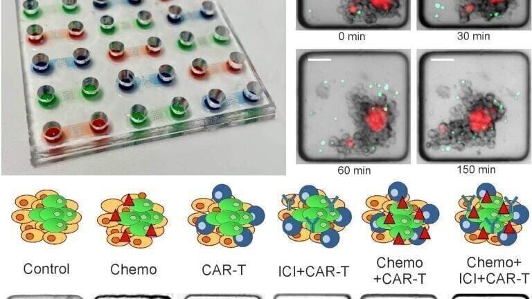 Novel Assay Platform for 3D Microfluidic Cancer Research