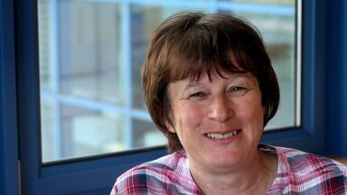 Collaborative studies reveal how Immune Cells maintain their killer power