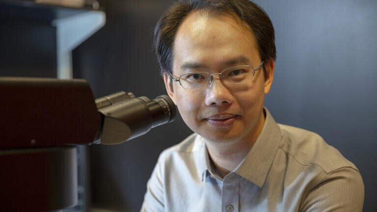 Wei Min