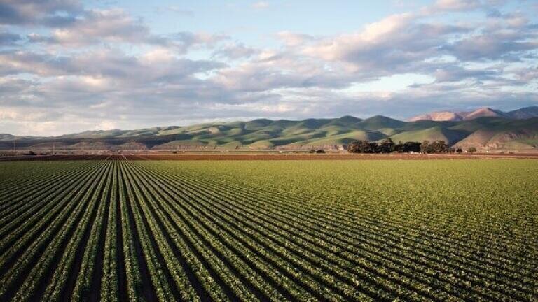 How is Crop Research Advancing?