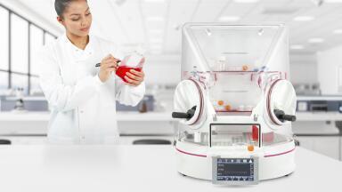 Bench-top physiological oxygen incubator and workstation