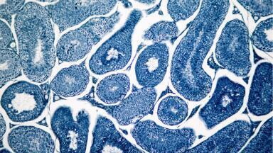 Specialist Biofluid and Tissue Sourcing Service