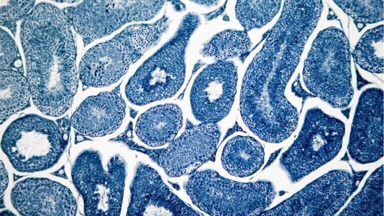 Specialist Biofluid and Tissue Sourcing Service
