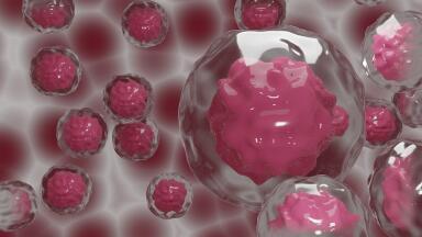 What Is a Tumour Growth Model?