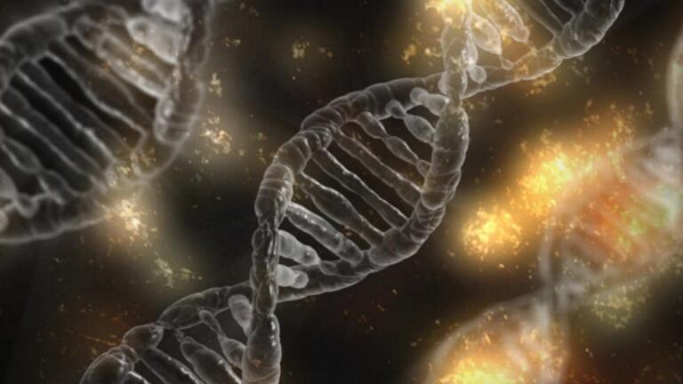 How Do Cells Change and Develop?