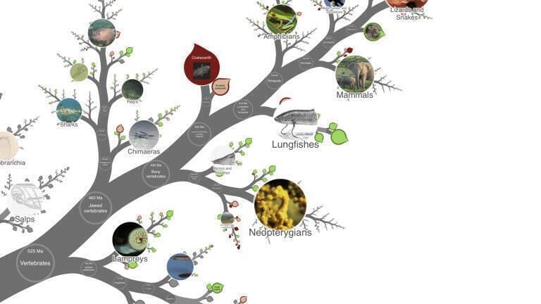 Exploratory tool unveils Earth’s evolutionary history