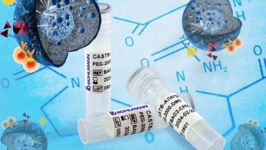 Safely Determine Vaccine Hypersensitivity 