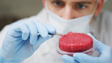 Food Technology: New Tools Support Cultured Meat Development