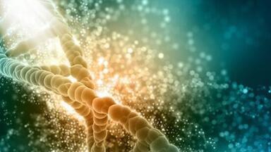 Cutting-edge Genome Editing Tools: Accelerate your research