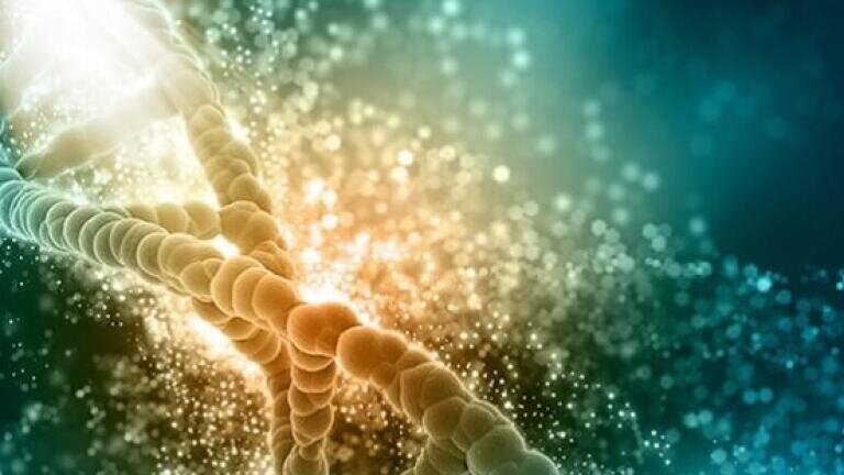 Cutting-edge Genome Editing Tools: Accelerate your research