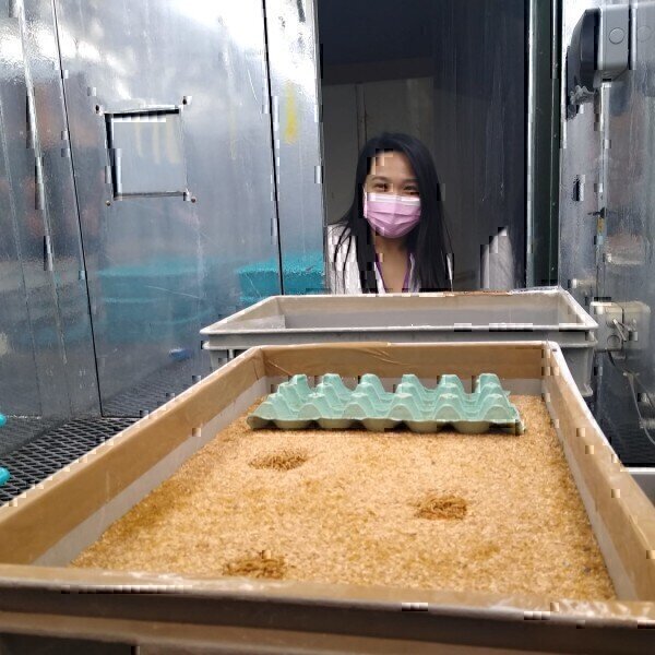 Insects as a Food Source – is the UK involved in this research sector? Labmate Online - Vimarsana News