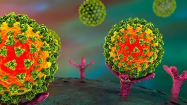 Enhanced Tools for COVID-9 Omicron Variant Research