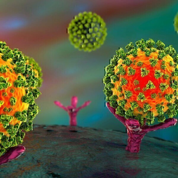 Enhanced Tools for COVID-9 Omicron Variant Research - Vimarsana News
