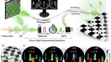 Single Fibre Imaging holds huge potential for 3D Viewing