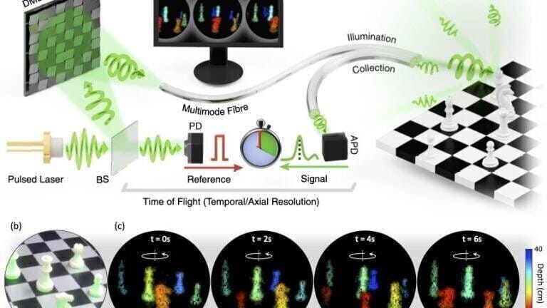 Single Fibre Imaging holds huge potential for 3D Viewing