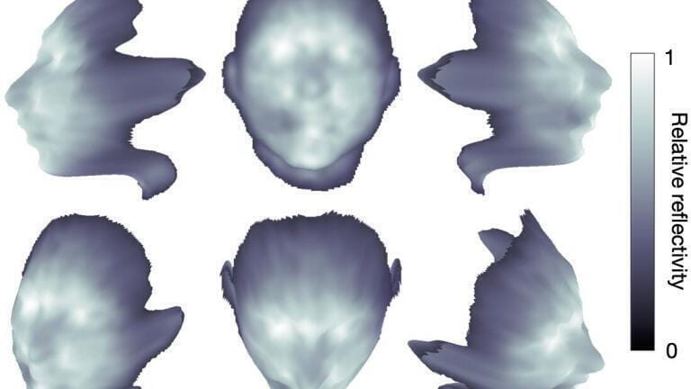 Figure 3: 3D imaging with enhanced fidelity. A series of views of a 3D reconstruction of a mannequin head located at a range of 30 cm. Here, depth is represented as the surface profile, and reflectivity is rendered as the surface shading. The data for this reconstruction were acquired in 2 s.