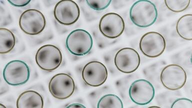 What is High Throughput Liquid Handling?