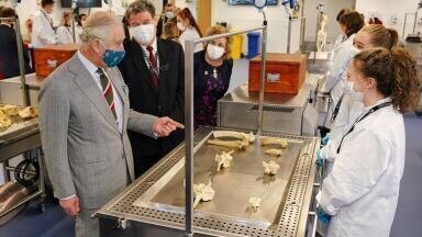 School of Veterinary Science celebrates Royal Opening