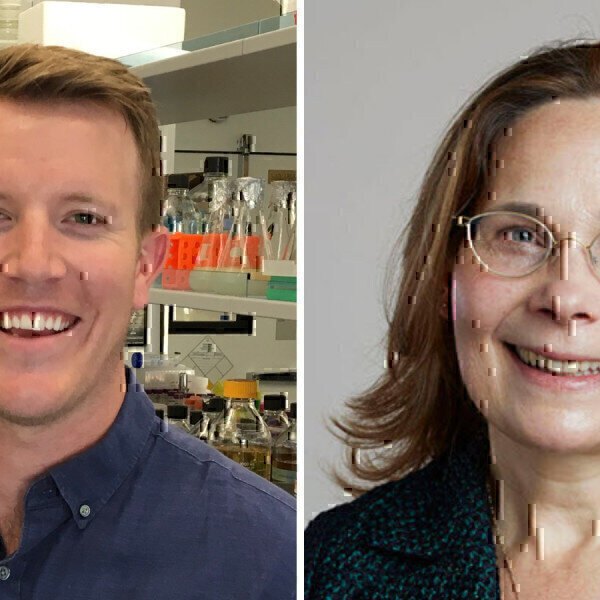 Breaking Down Walls – Study highlights use of Existing Drugs Labmate Online - Vimarsana News