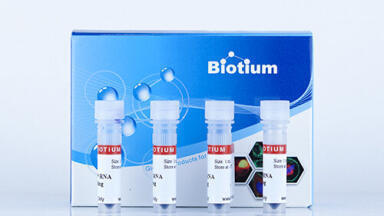 High-sensitivity RNA Prestain Loading Dye