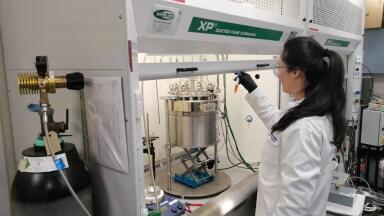 Developing Environmentally Friendly Catalysts for Biorenewable Chemicals Production
